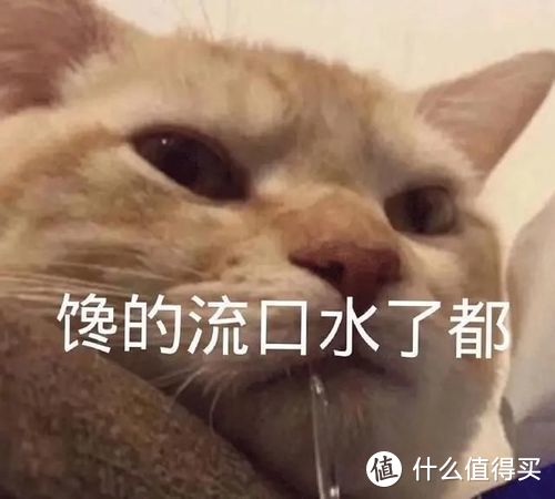 618宠物罐头囤货攻略-有什么是一个罐罐解决不了的，如果有，那就两罐～