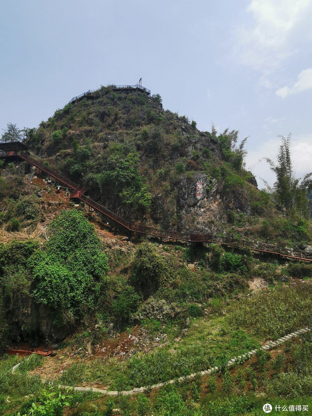 热度上升，在锅底塘古茶园一侧的小山包上，已经建起了观光步道