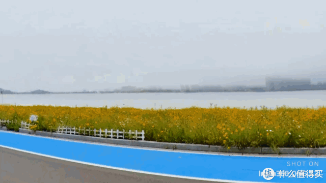 让你所见,超我见-好玩到出乎意料的insta 360 x2 全景运动相机简测