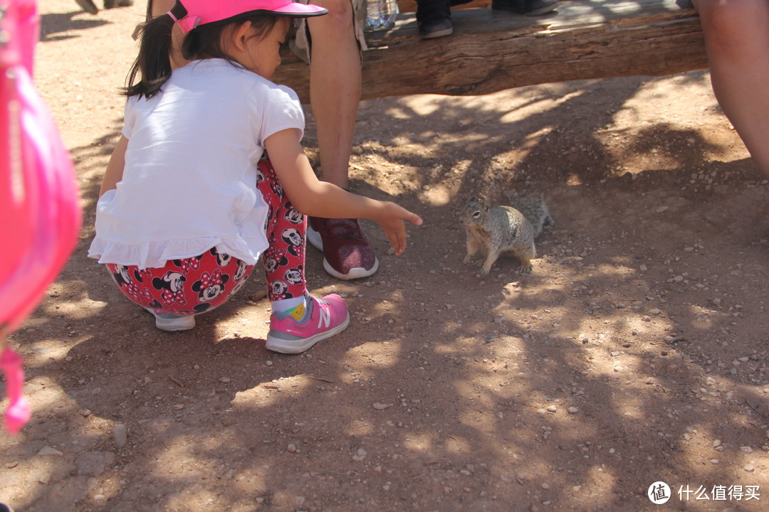 孩子和小松鼠近距离互动