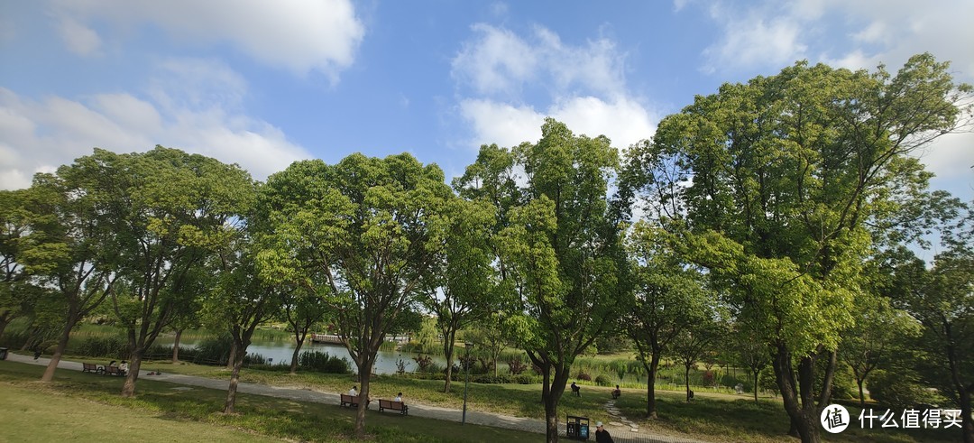 滴翠园/幼一公园，一个隐藏在闵行和徐汇之间的秘密园林/可以做核酸的地方/钓鱼风筝遛娃滑冰骑行好去处