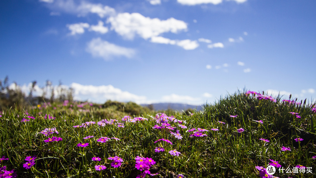 川藏线上地标景点——塔公草原，相机原片