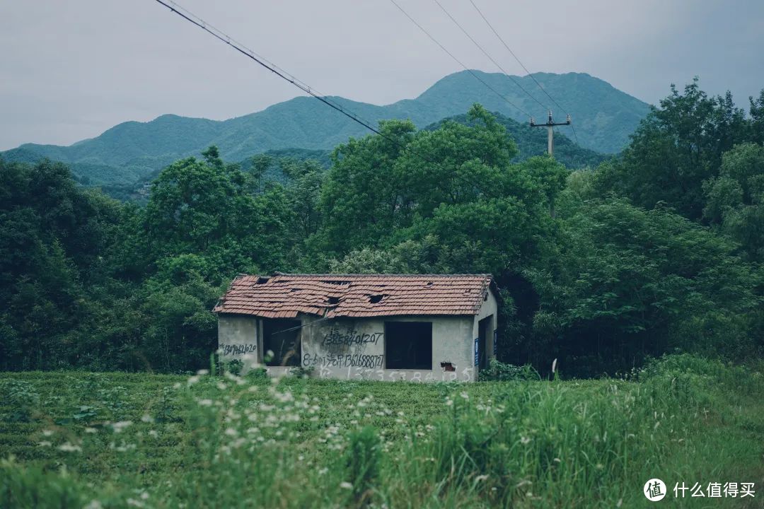 杭州自驾3h，这条神仙线路真该火！