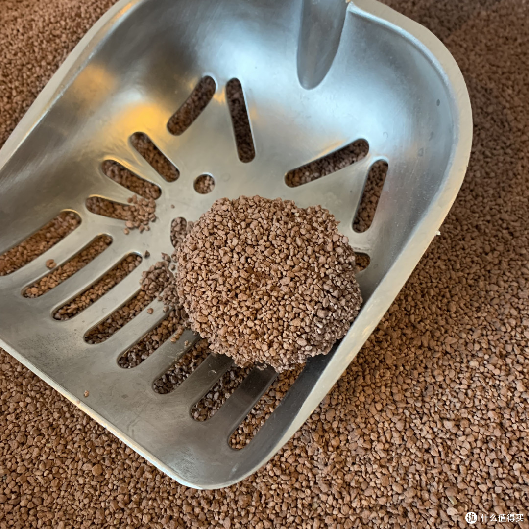 艾米丽低尘矿物猫砂钠基原矿小颗粒吸臭结团紧实吸水迅速