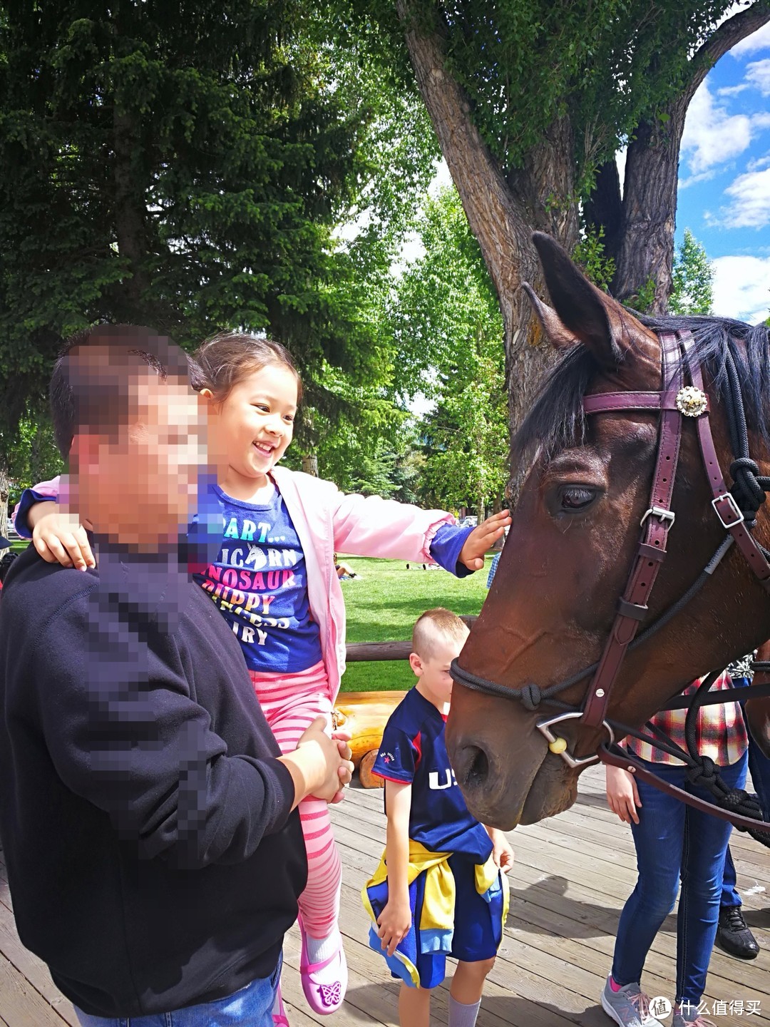 杰克逊小镇的骑手让孩子近距离摸马