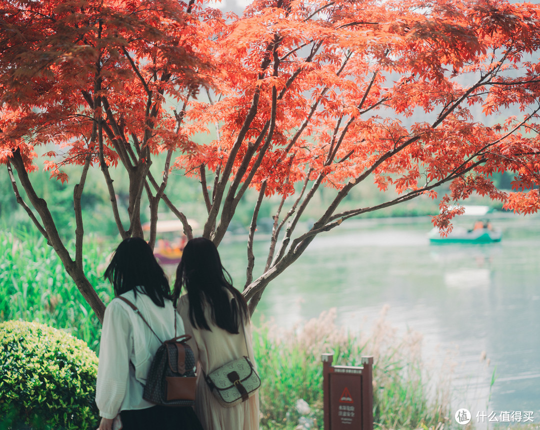 索尼微单镜头除了橙标 G 大师外，这个蓝标也不容忽视：Batis 85mm f1.8