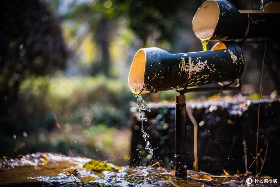 戏水纳凉抓鱼捉虾夏天玩水才是正经事啊