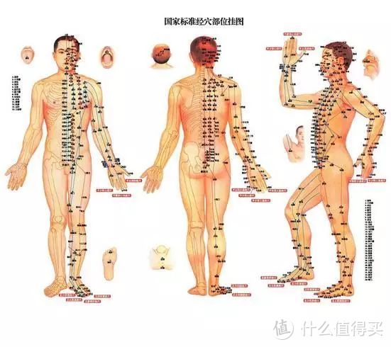 筋膜枪？泡沫轴？哪种大保健才能科学的恢复我们的身体