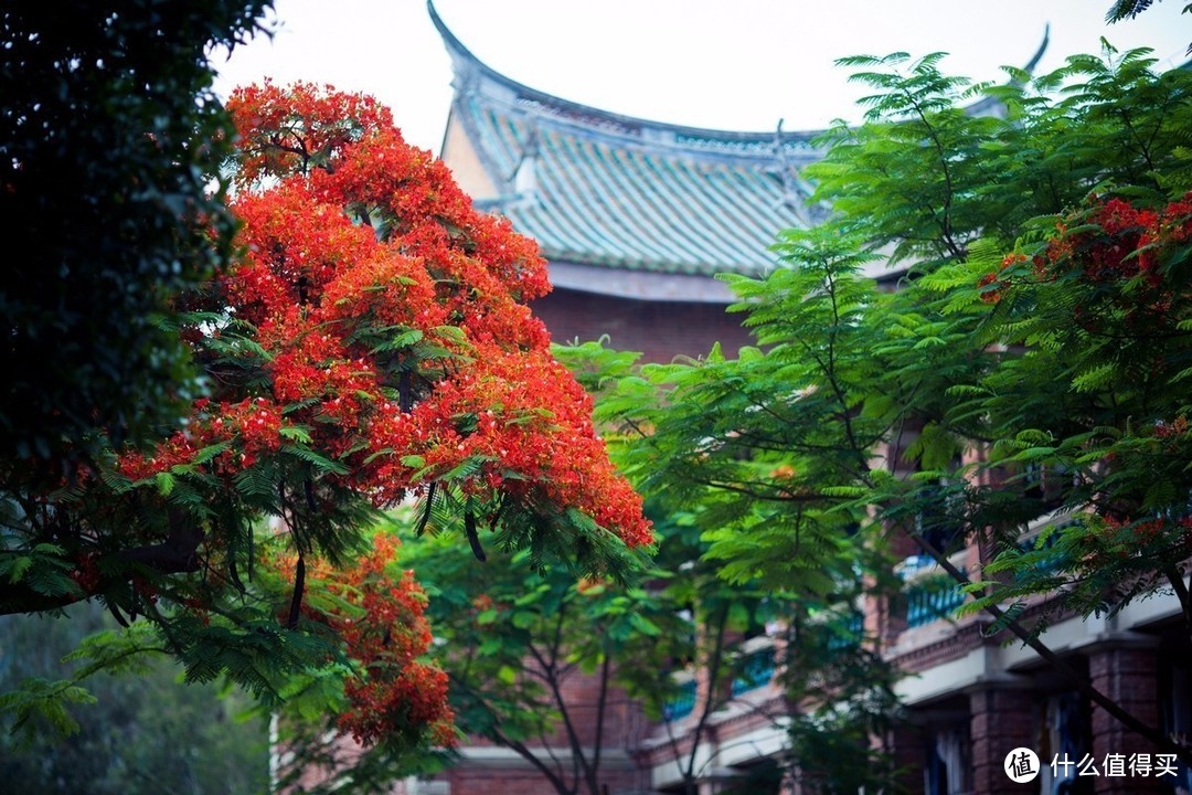 又到了填报志愿的季节，国内5大最美大学校园排名——最美风景照拍起来