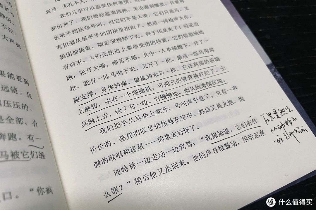 战争有输赢！反正参与战争者没有！——《西线无战事》