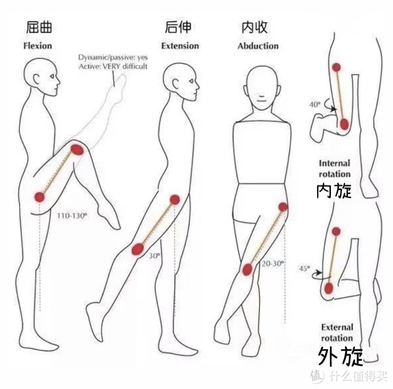 翘臀不粗腿，顺道减减重，练臀的保姆级教程来啦！跟练一个月椭圆仪给你想不到的惊喜～