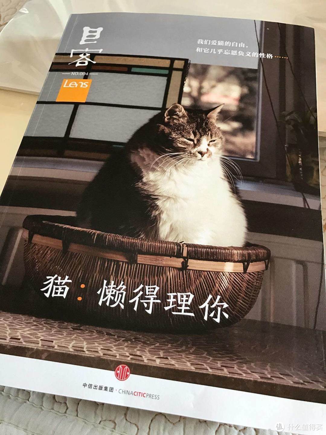 到底怎样才能走进猫的内心世界？5本书让你的撸猫方式不再弱爆！