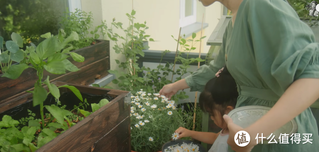 二胎宝妈带孩子一起改造8㎡阳台，种满20多种蔬菜，让人羡慕