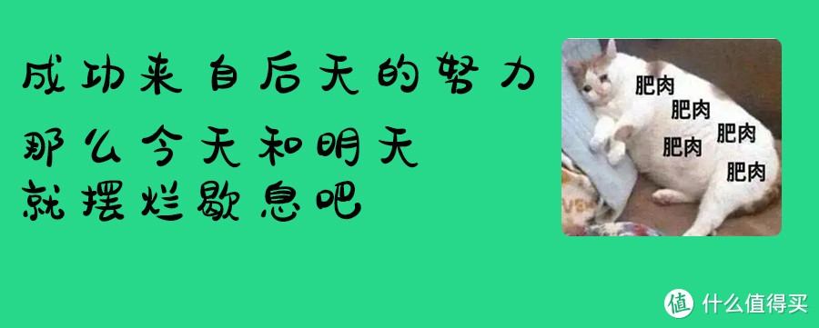 挖掘微距镜头成像潜力，亲测手动焦点堆栈出图超香！