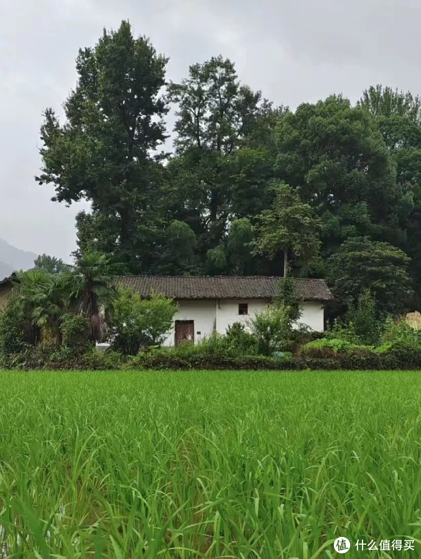 江西夫妻住在小县城，将115㎡的家，装修得超美，忍不住晒一晒