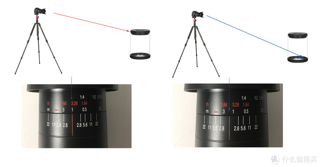 挖掘微距镜头成像潜力，亲测手动焦点堆栈出图超香！