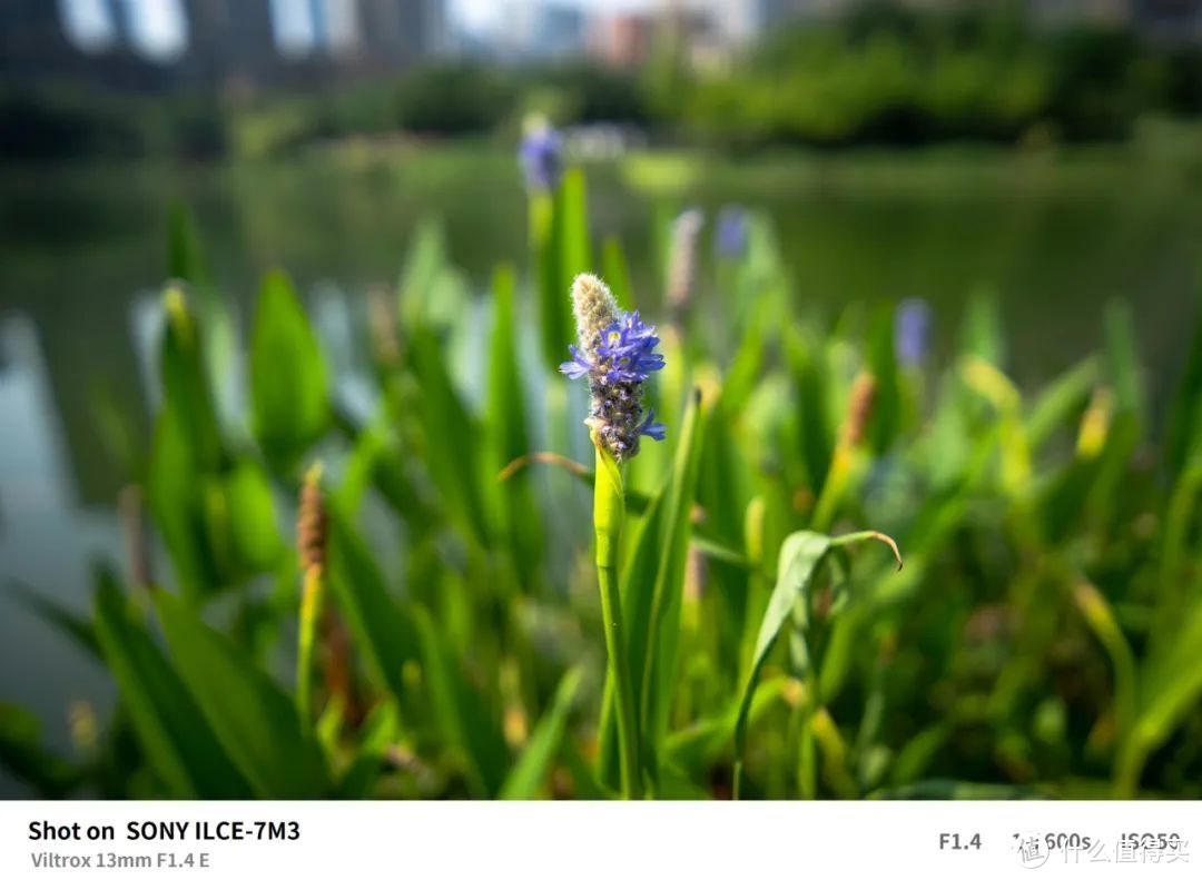 唯卓仕13mm F1.4 广角大光圈自动对焦镜头 E/Z卡口测评  