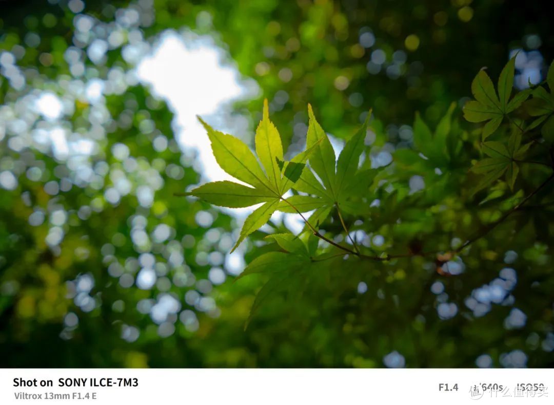 唯卓仕13mm F1.4 广角大光圈自动对焦镜头 E/Z卡口测评  