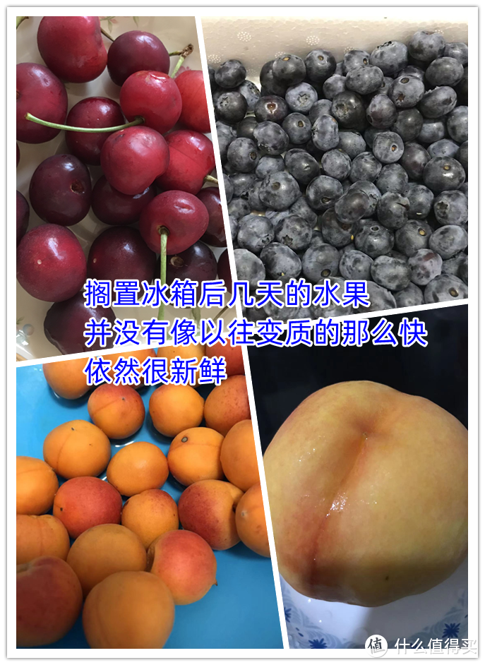 冰箱杀菌除味工具到底有没有用？除味侠实用测评——