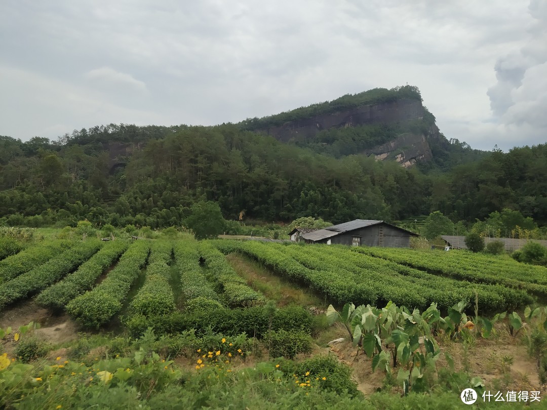 带娃休闲三天两晚武夷山之旅