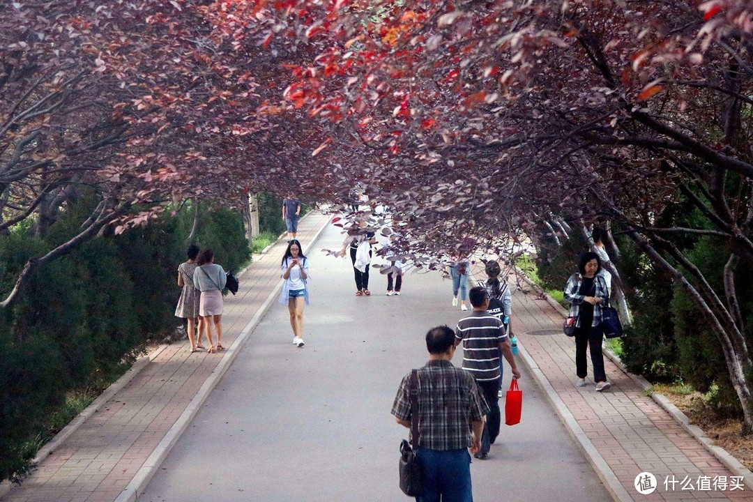 推荐给准大学生 四本描写大学生活的青春小说 真实而精彩