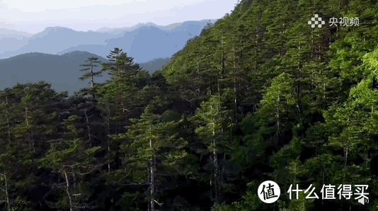 这个华中避暑胜地，终于藏不住了！