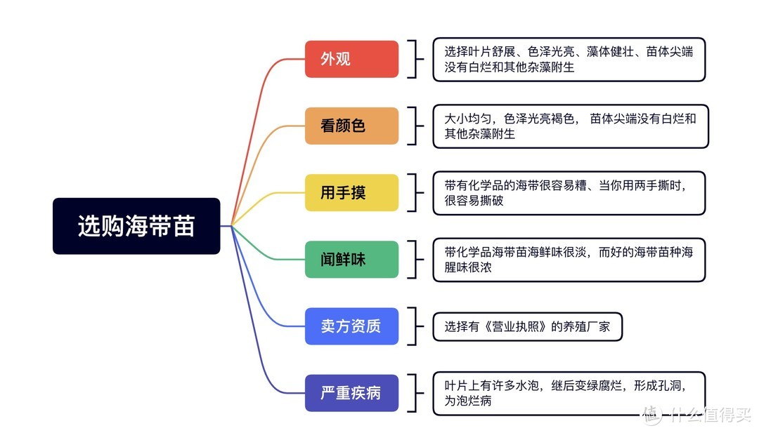 记录一人饮食，两道简易海鲜食谱和大家分享，清炒海带苗和清蒸生蚝