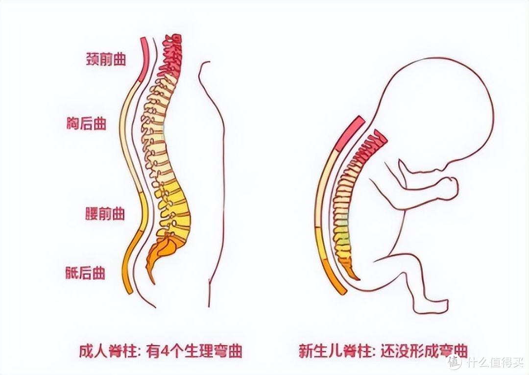 遛娃神器测评：花了近1w样品费！上千的车，就这？