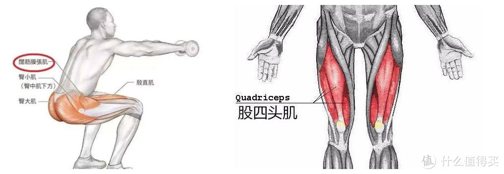 筋长一寸寿长十年，30个全身深度拉筋动作，越拉越年轻