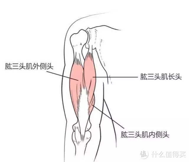 筋长一寸寿长十年，30个全身深度拉筋动作，越拉越年轻