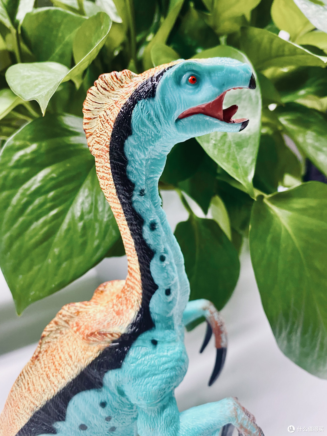 栓q! recur悦酷镰刀龙怎么还不火!内行人才知道有多哇塞!