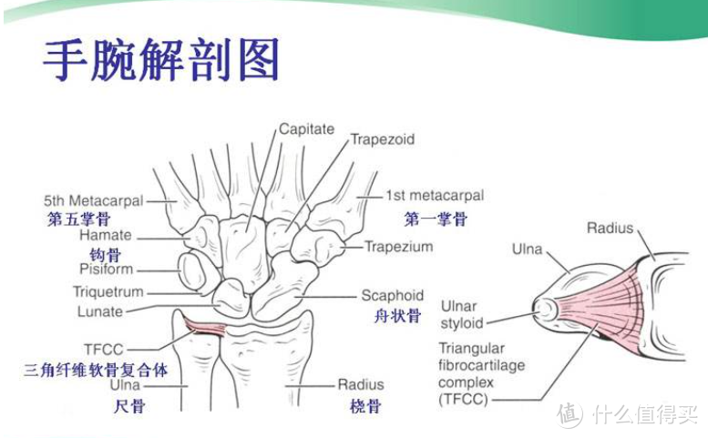 羽毛球锦标赛来了，你真的了解羽毛球嘛？从零开始了解羽毛球运动，一文解答所有疑惑