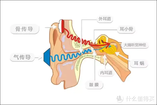 运动耳机你选对了吗？Sanag塞那A18S Pro气传导耳机使用体验