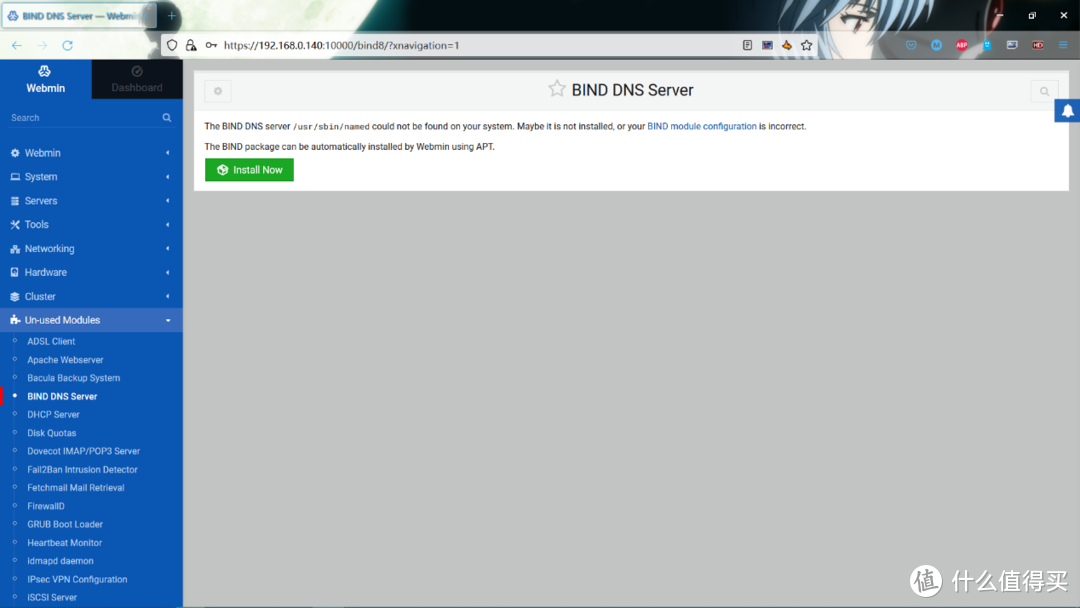 home server 篇一：翻车的home server经验分享-DNS [bind9][webm