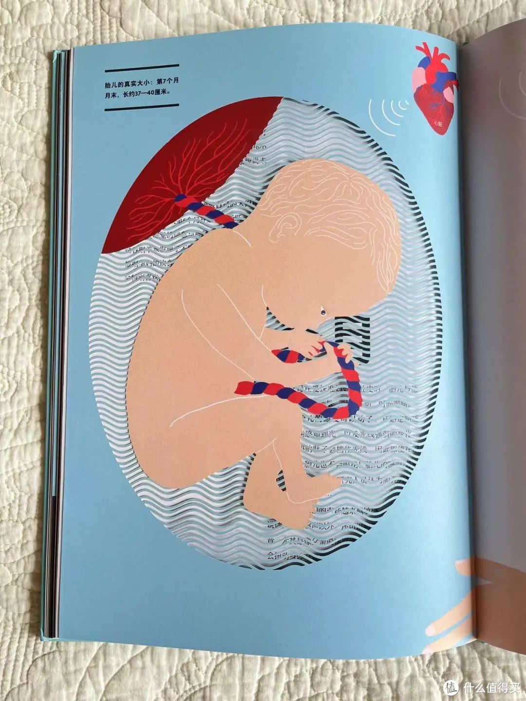 孕妈妈礼物：一本适合准爸爸与孕妈妈共读的大型绘本