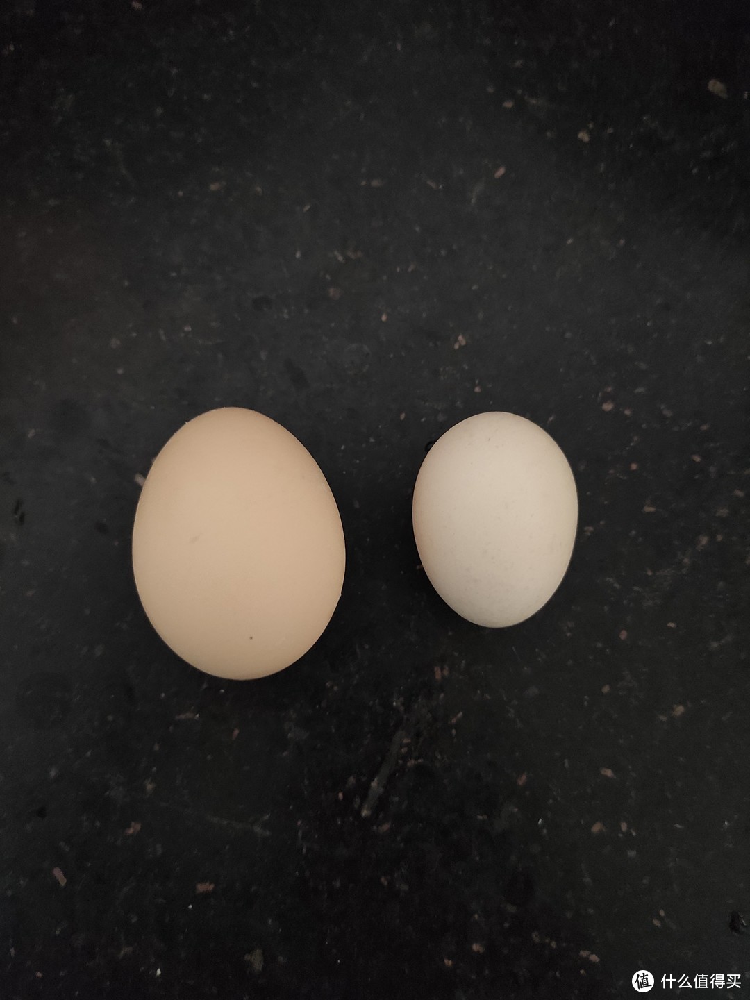 鸡蛋，左边是普通鸡蛋
