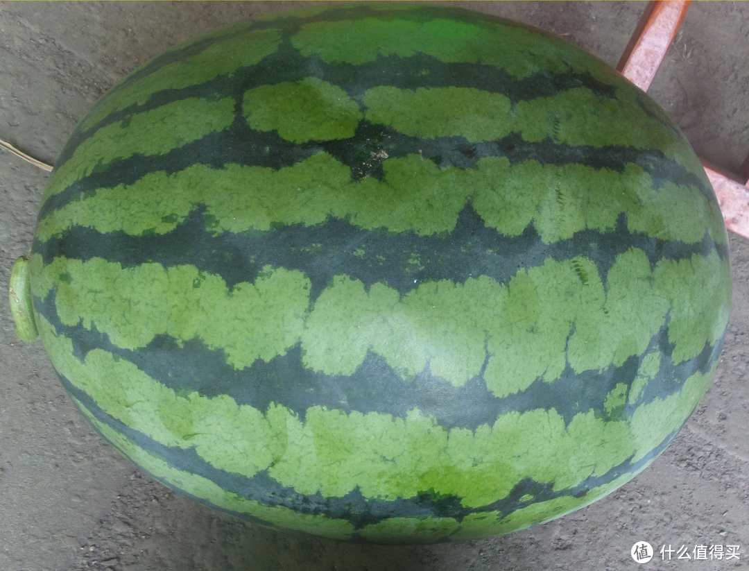你，真的会吃瓜吗？市售西瓜品种大起底，吃了几千斤西瓜以后，才发现这个地方的西瓜才是yyds！