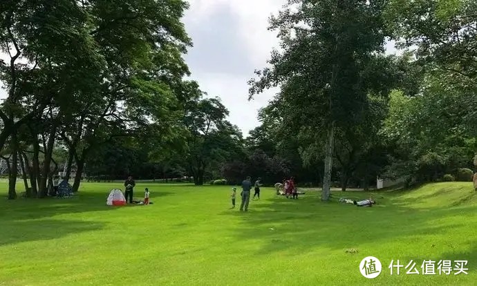 【建议收藏】5次野餐失败经验，今年总结了超详细攻略