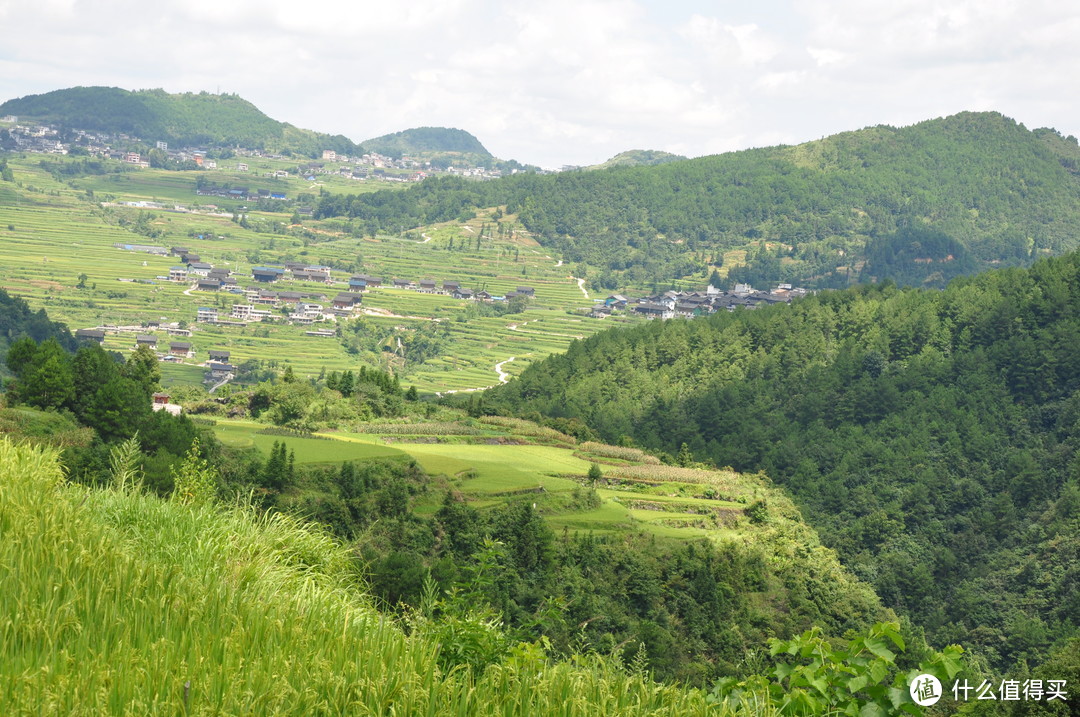 到处是梯田