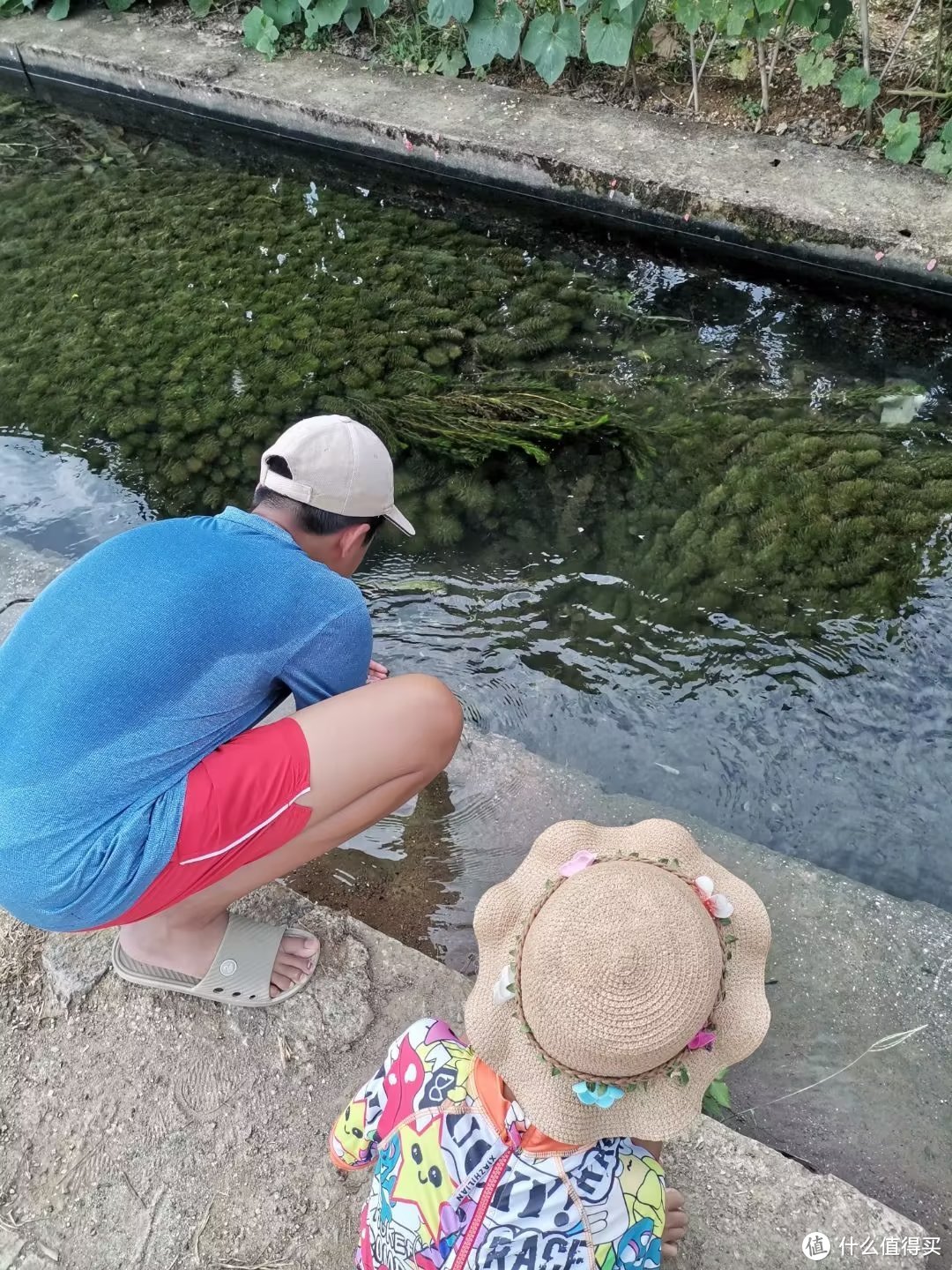 排水沟的水都清澈见底，水草丰盈