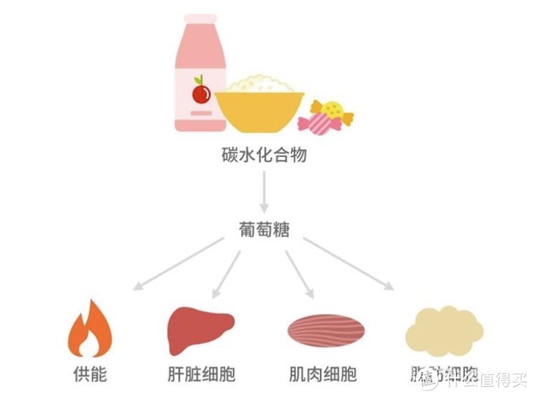 减肥30斤的真相，其实吃比练更重要「附增肌减脂食谱」