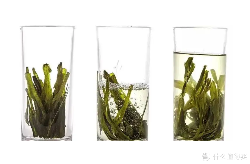 绿茶冲泡真的忌讳先放茶叶后加水吗？怎样冲泡一杯好喝的绿茶？
