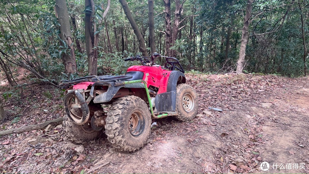 梅岭印象7，六坡-雷公尖，山色不改颜