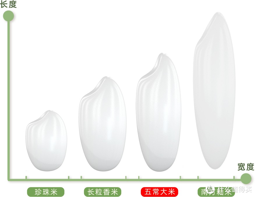 选购不踩雷，论如何鉴别五常大米