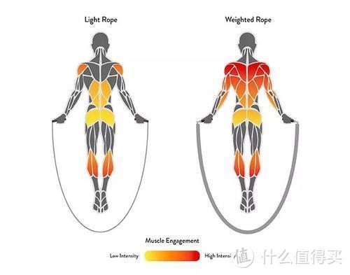 不用花大价钱也能健身，那些百元以内的健身器材分享。