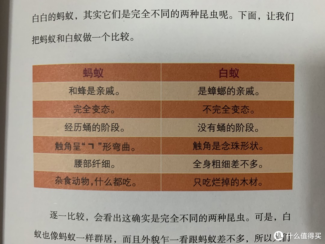 图书馆猿の2022读书计划65：《神奇的虫子世界》