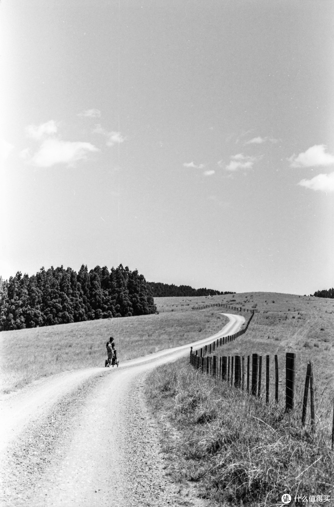 Ilford Delta 100 Pro 胶卷+ Olympus OM2000 + MC Zuiko 50mm F1.4