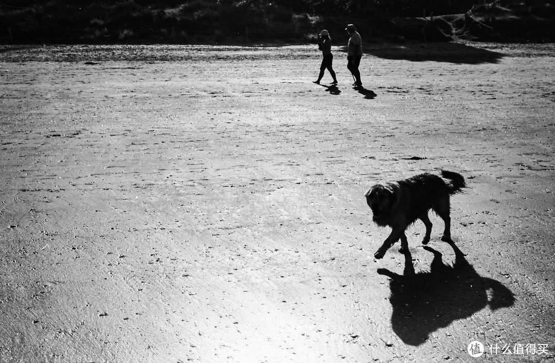 Kodak TMAX100胶卷 + Nikon F50 + Nikkor AFD 50mm F1.8