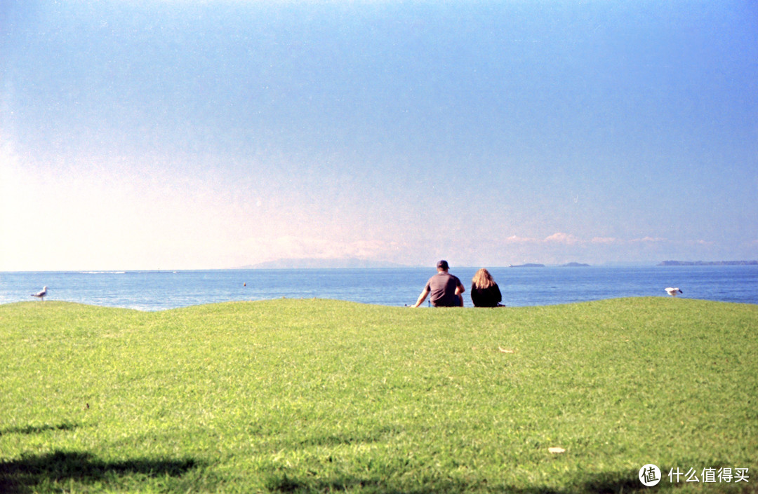 Kodak Gold 200胶卷 + Pentax Spotmatic + Macro-Takumar 50mm F4