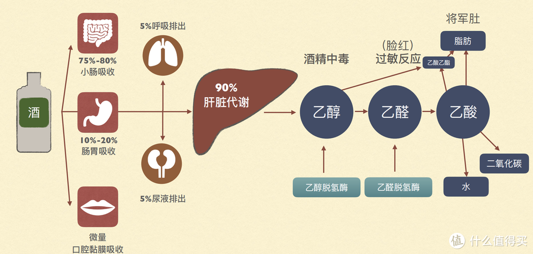 喝酒时，牢记这4个“最好”，健康饮酒不易醉不上头，别不当回事